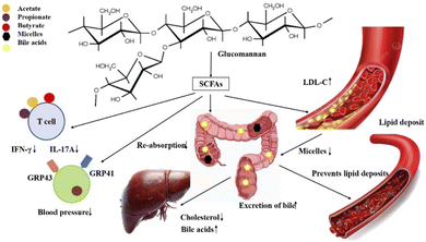 image file: d5fb00488h-f3.tif