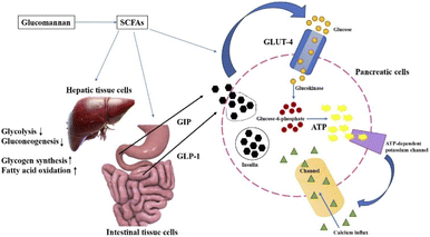 image file: d5fb00488h-f4.tif