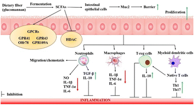 image file: d5fb00488h-f5.tif