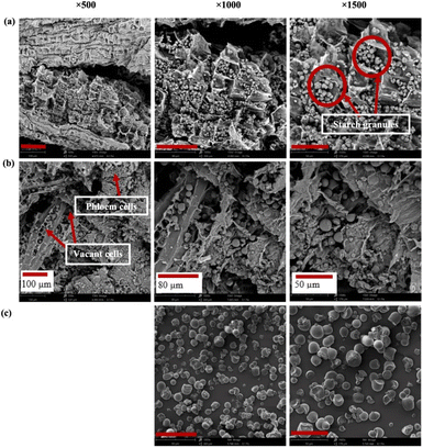 image file: d5fb00490j-f3.tif