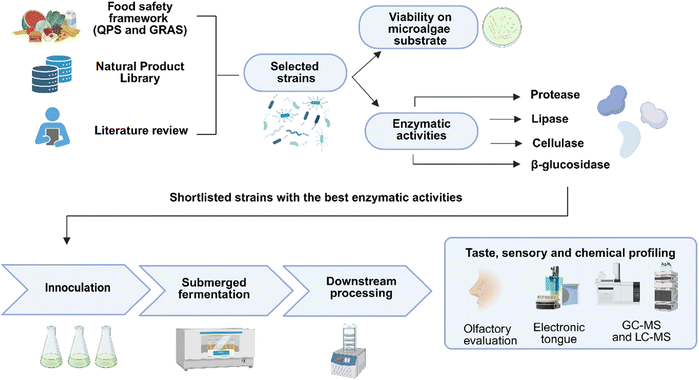 image file: d5fb00492f-f1.tif