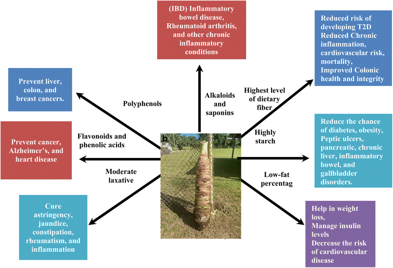 image file: d5fb00496a-f1.tif