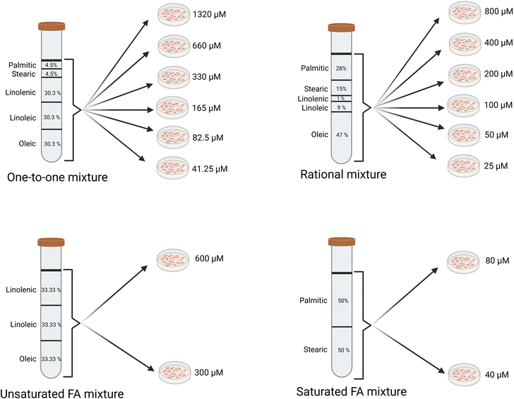 image file: d5fb00506j-f1.tif