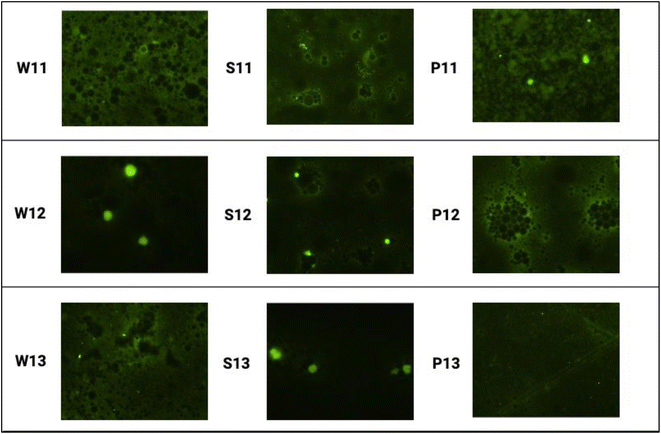 image file: d5fb00526d-f4.tif