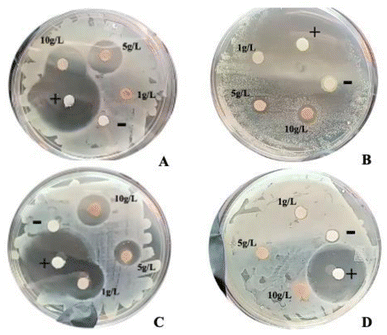 image file: d5fb00535c-f1.tif