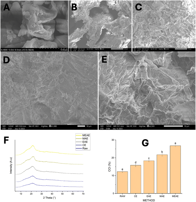 image file: d5fb00536a-f7.tif