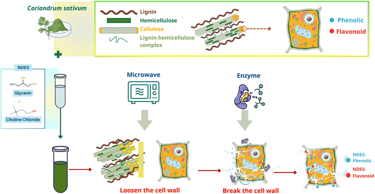 image file: d5fb00536a-f8.tif