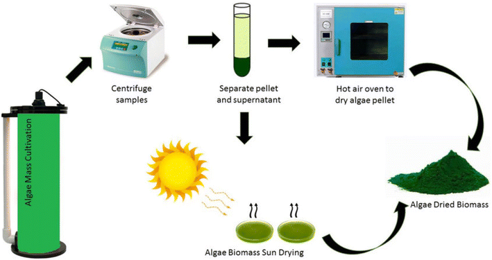 image file: d5fb00537j-f1.tif