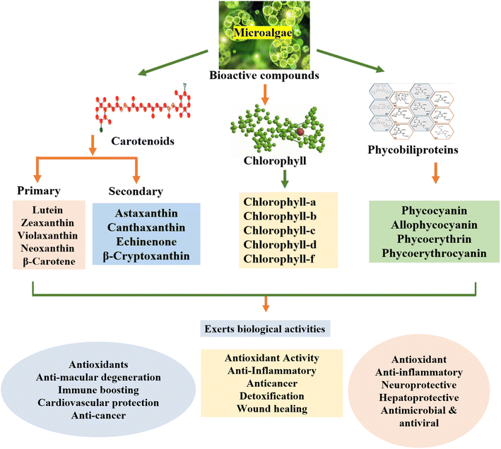 image file: d5fb00537j-f2.tif