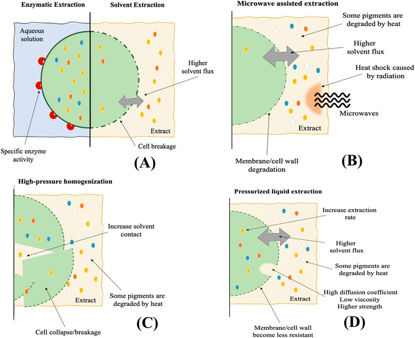 image file: d5fb00537j-f5.tif