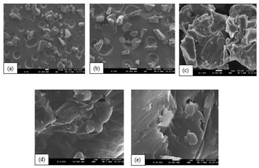 image file: d5fb00549c-f3.tif