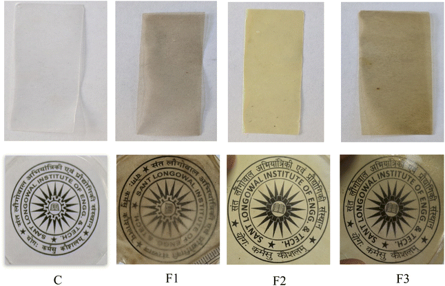 image file: d5fb00561b-f5.tif