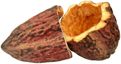 image file: d5fb00565e-f1.tif