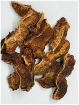 image file: d5fb00565e-u1.tif