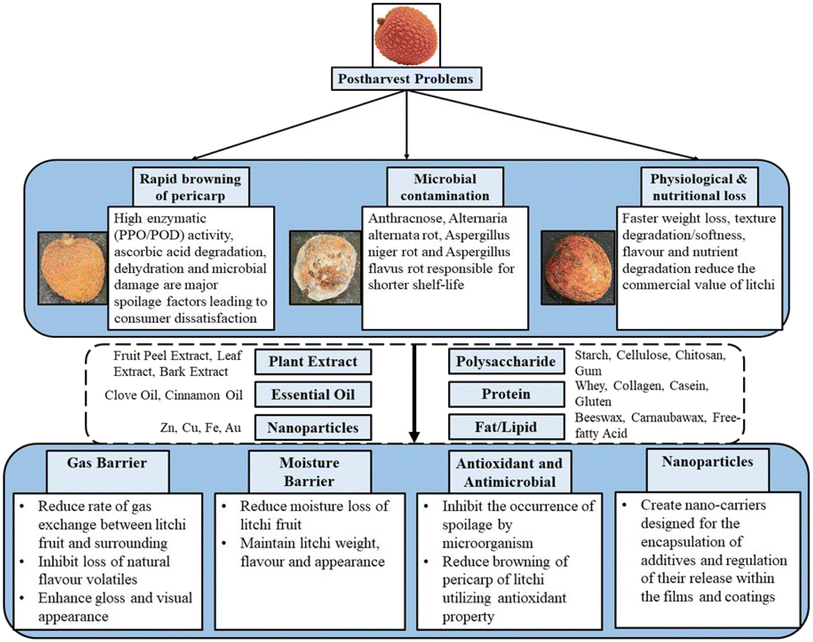 image file: d5fb00567a-f1.tif