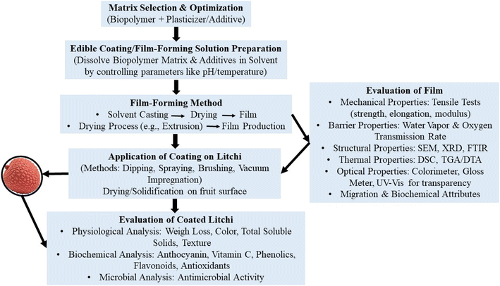 image file: d5fb00567a-f4.tif