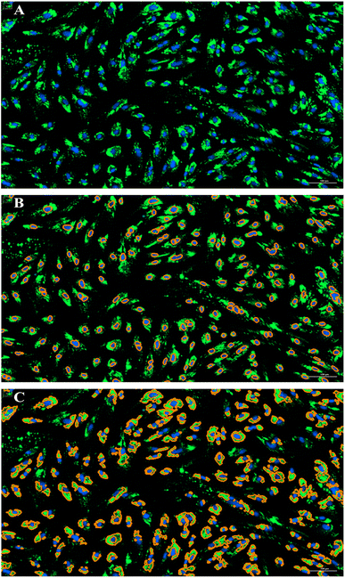 image file: d5fb00572h-f1.tif