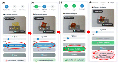 image file: d5fb00583c-f6.tif