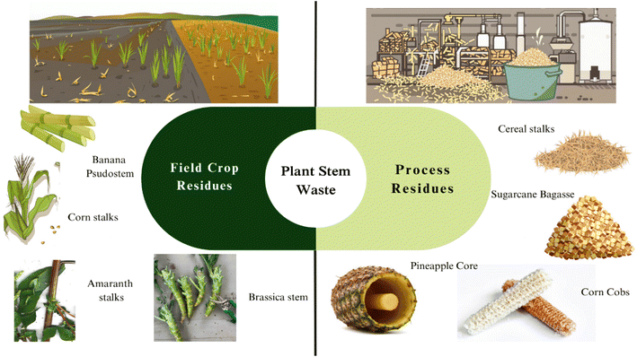 image file: d5fb00591d-f1.tif