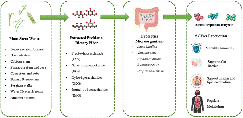 image file: d5fb00591d-f8.tif