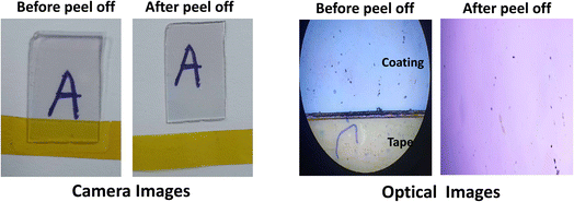 image file: d5fb00593k-f3.tif