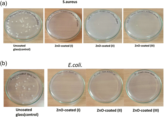 image file: d5fb00593k-f6.tif