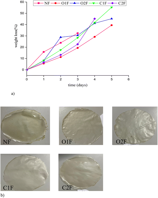 image file: d5fb00606f-f5.tif