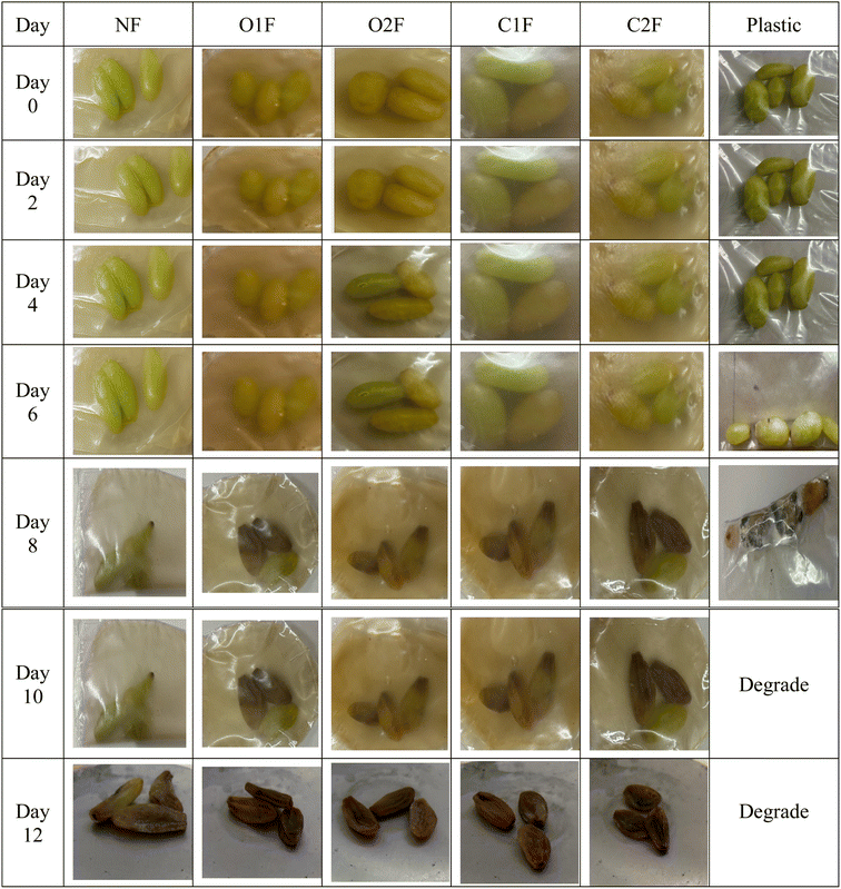 image file: d5fb00606f-f6.tif