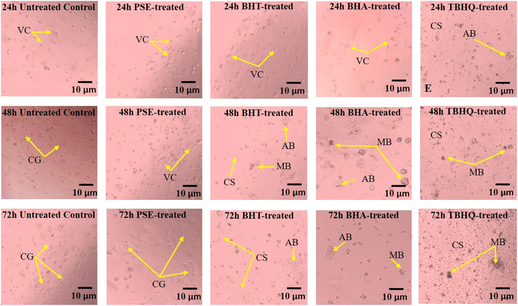 image file: d5fb00609k-f2.tif