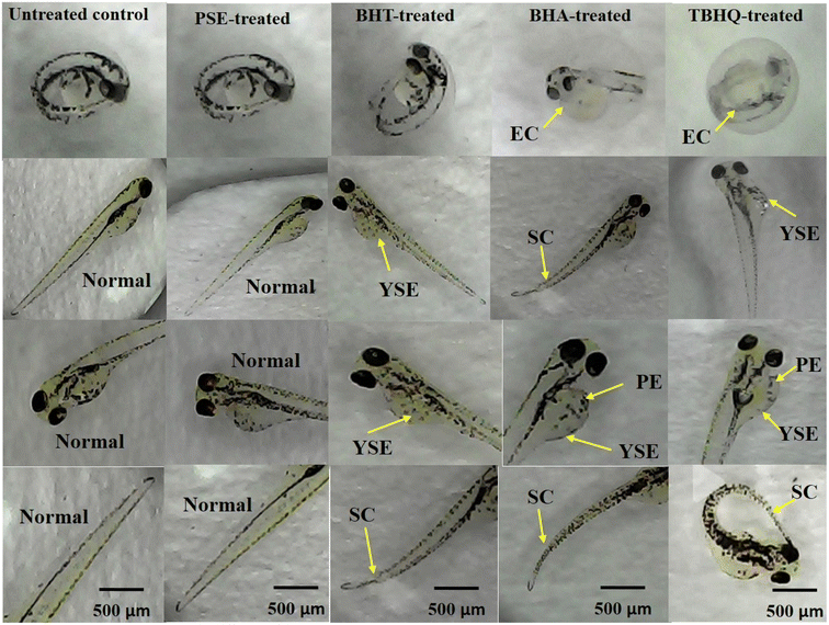 image file: d5fb00609k-f5.tif