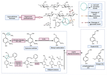 image file: d5fb00624d-f2.tif