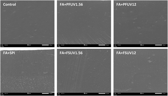 image file: d5fb00629e-f10.tif