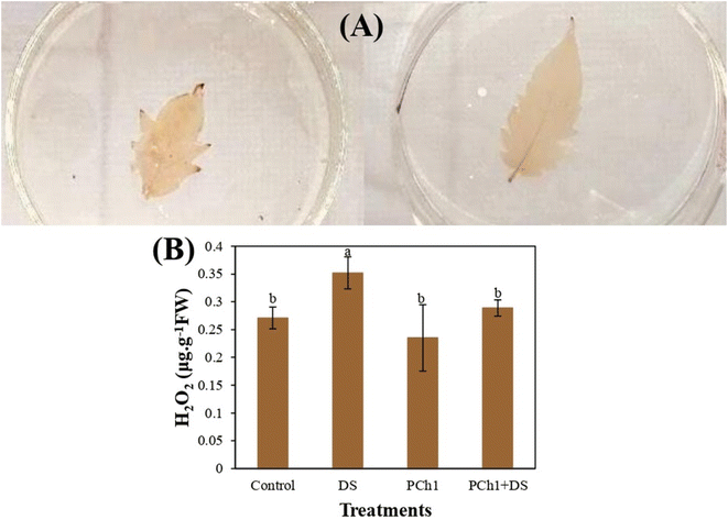 image file: d5fb00633c-f9.tif