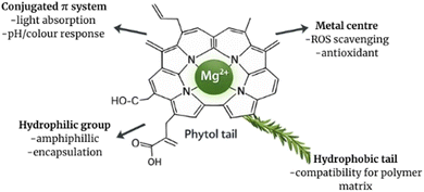 image file: d5fb00637f-f1.tif