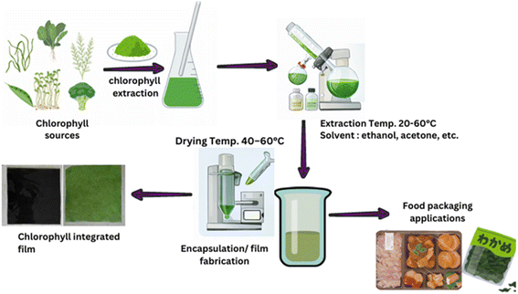 image file: d5fb00637f-f2.tif