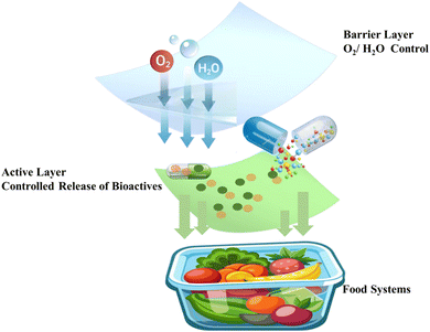 image file: d5fb00637f-f3.tif