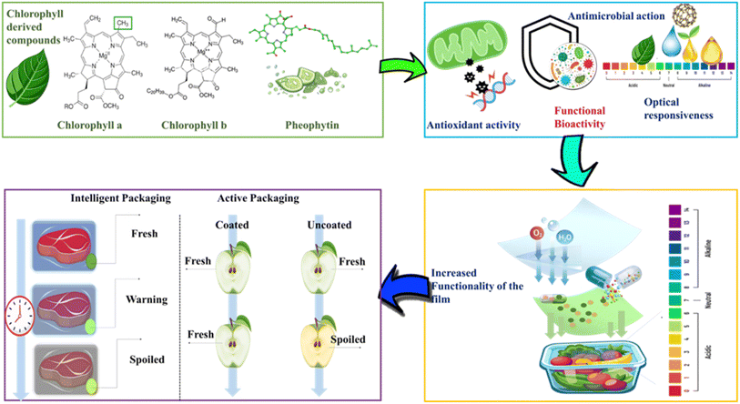 image file: d5fb00637f-f4.tif
