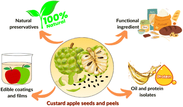 image file: d5fb00643k-f2.tif