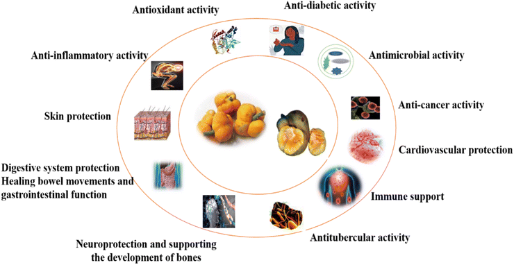 image file: d5fb00646e-f2.tif