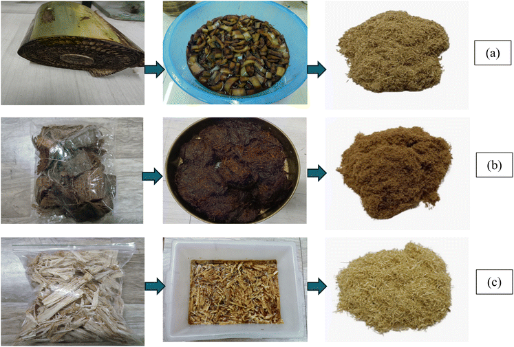 image file: d5fb00647c-f1.tif