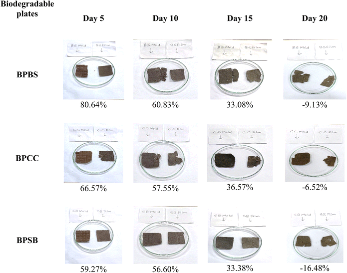 image file: d5fb00647c-f12.tif