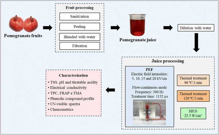 image file: d5fb00657k-f1.tif