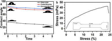 image file: d5fb00685f-f3.tif