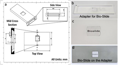 image file: d5fb00685f-f4.tif