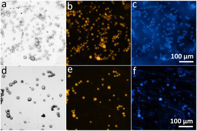 image file: d5fb00685f-f7.tif