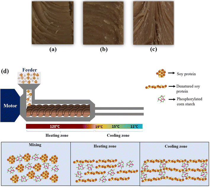 image file: d5fb00694e-f8.tif