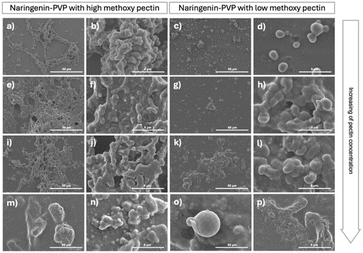 image file: d5fb00705d-f3.tif