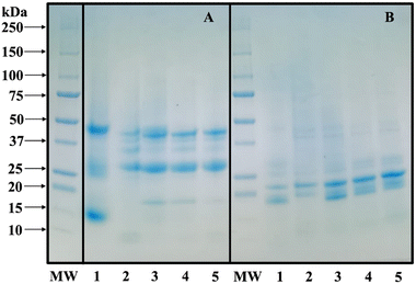 image file: d5fb00708a-f3.tif