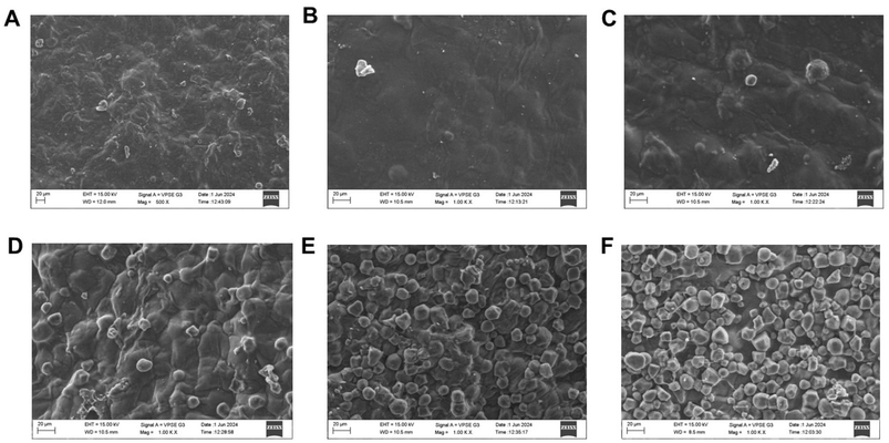 image file: d5fb00721f-f2.tif