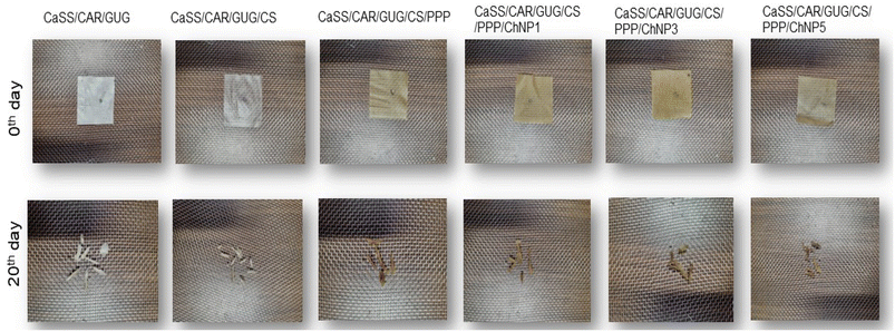 image file: d5fb00721f-f5.tif